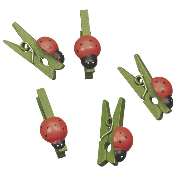 Kvačice drvene buba mara 2,5cm pk24 knorr prandell 21-8001537 blister