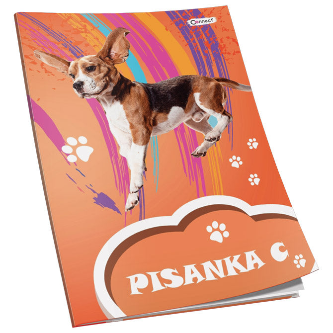 OBRAZAC ŠKOLSKI PISANKA "C" ZA 2 I 3RAZRED PREMIUM CONNECT GIRL