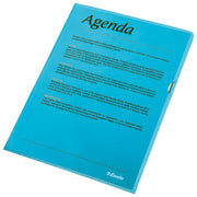 FASCIKEL "L" 120MY PP A4 MAT COPY SAFE PK100 ESSELTE 54837 MODRA