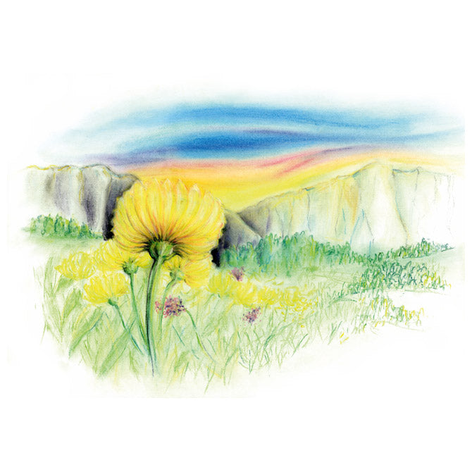 Pastela suha 36boja design journey staedtler 2430 c36 blister