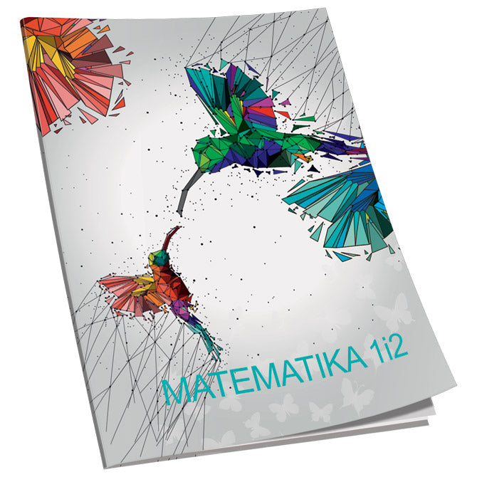 OBRAZAC ŠKOLSKI MATEMATIKA ZA 1 I 2RAZRED SOFT PLUS  CONNECT GIRL