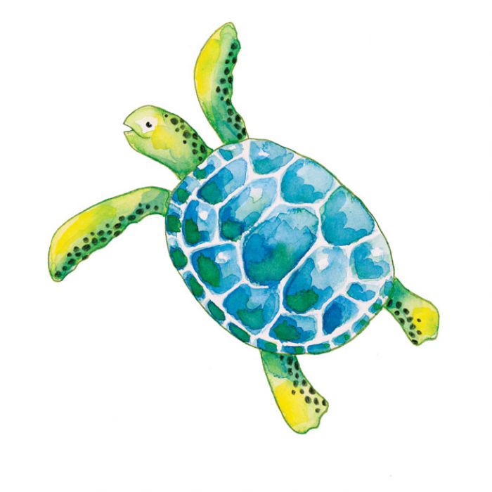 BOJE DRVENE-VODENE  36BOJE PLUS KIST PLUS ŠILJILO AQUARELL FABER CASTELL 114437 BLISTER