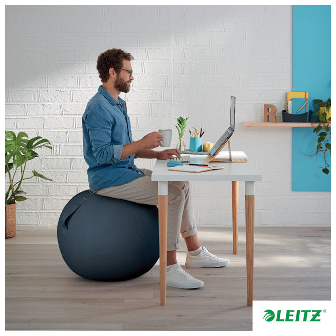 ŽOGA ZA SEDENJE ERGO COSY LEITZ 52790089 SIVA