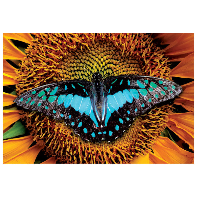 PUZZLE 250 KOM COLORFUL NATURE 2 BUTTERFLY INTERDRUK