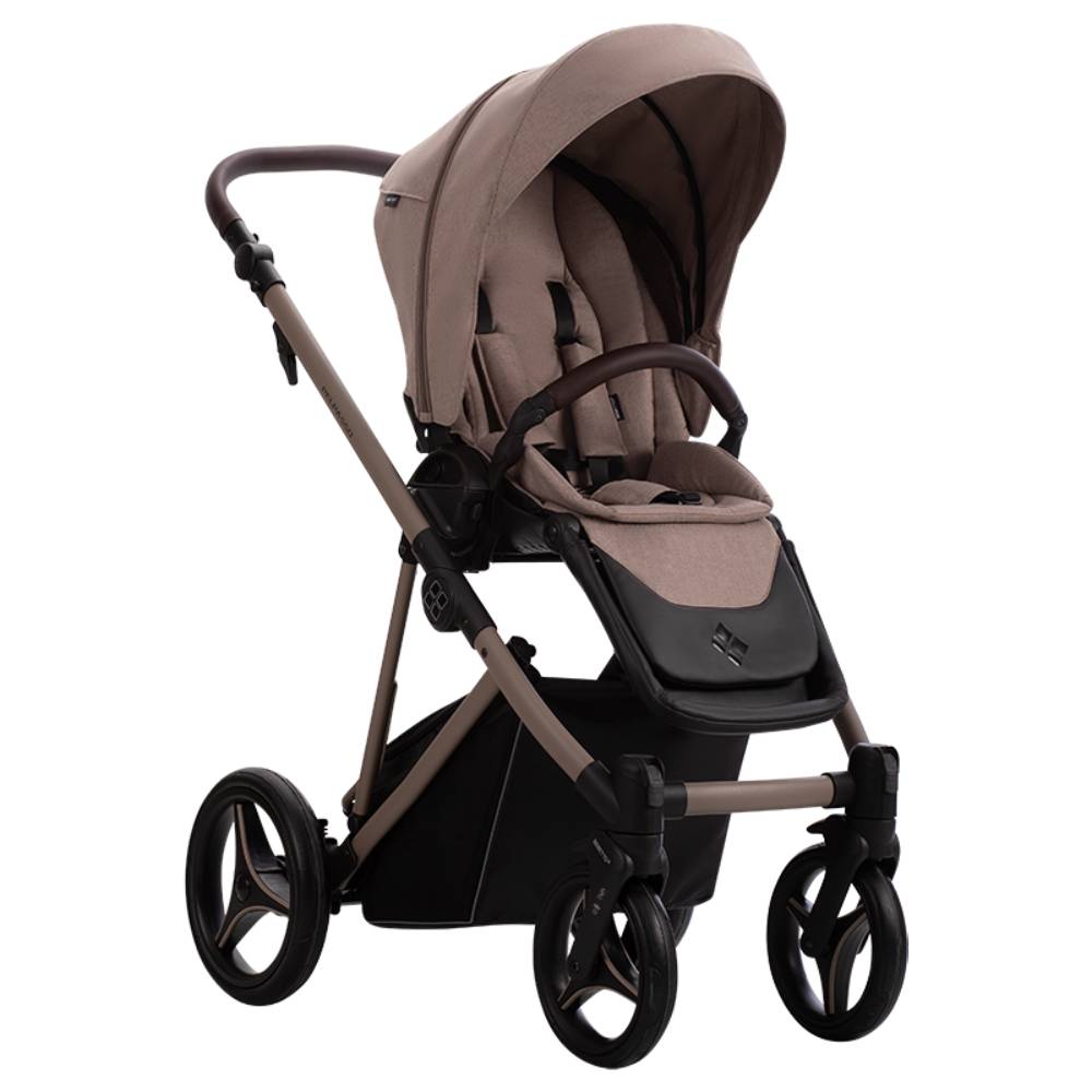 Dječja kolica Bebetto Pelpasso 02/Cashmere 4u1 B