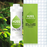 6848f24326e70829cfc6ee88_pine-forest_1760444440464.jpeg