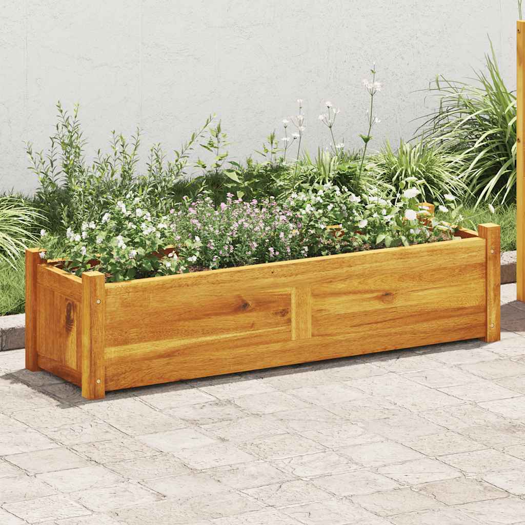 Posuda za Sadnju Drvo Bagrema 100x30x25