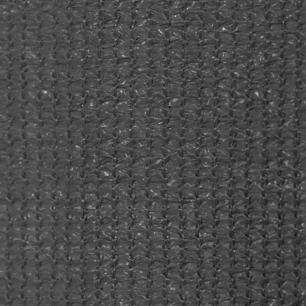 Vanjsko Sjenilo za Zatamnjivanje 240x140 cm Antracit