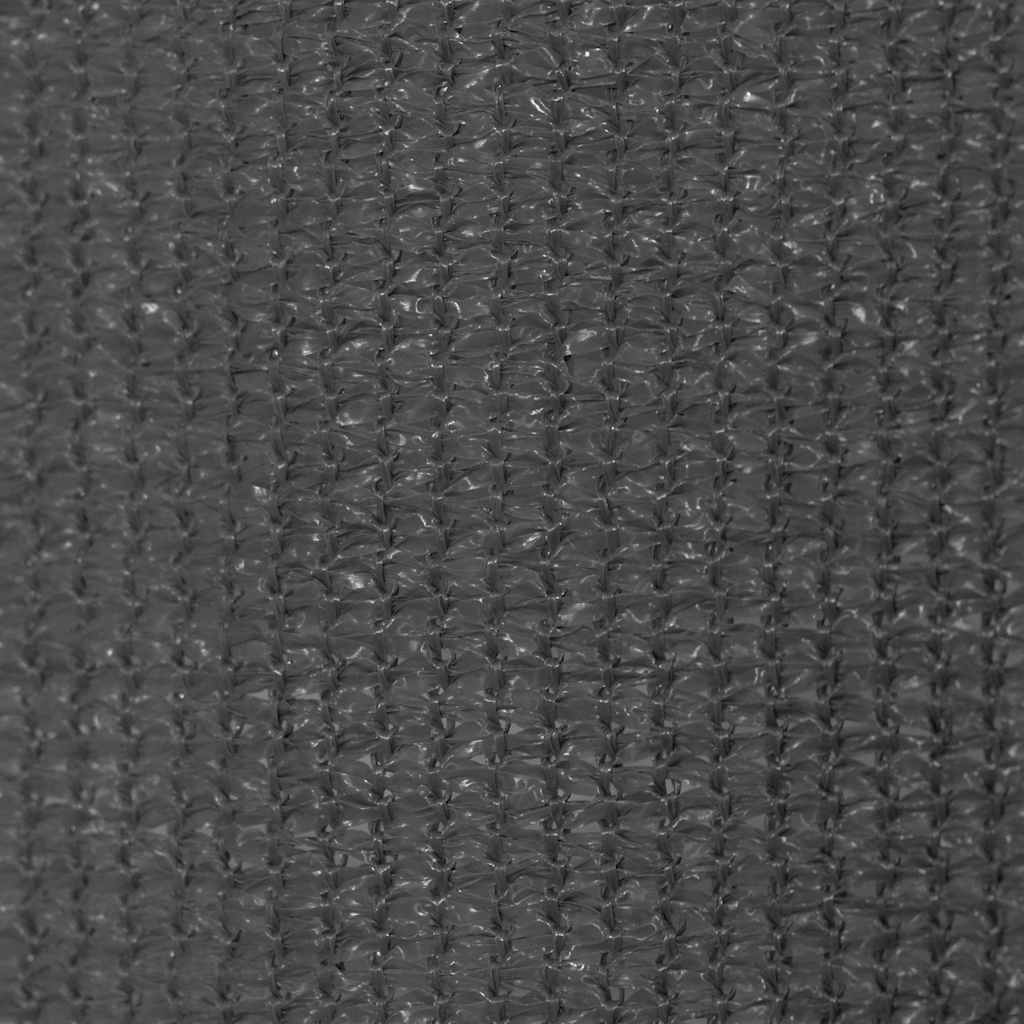 Vanjsko Sjenilo za Zatamnjivanje 240x230 cm Antracit