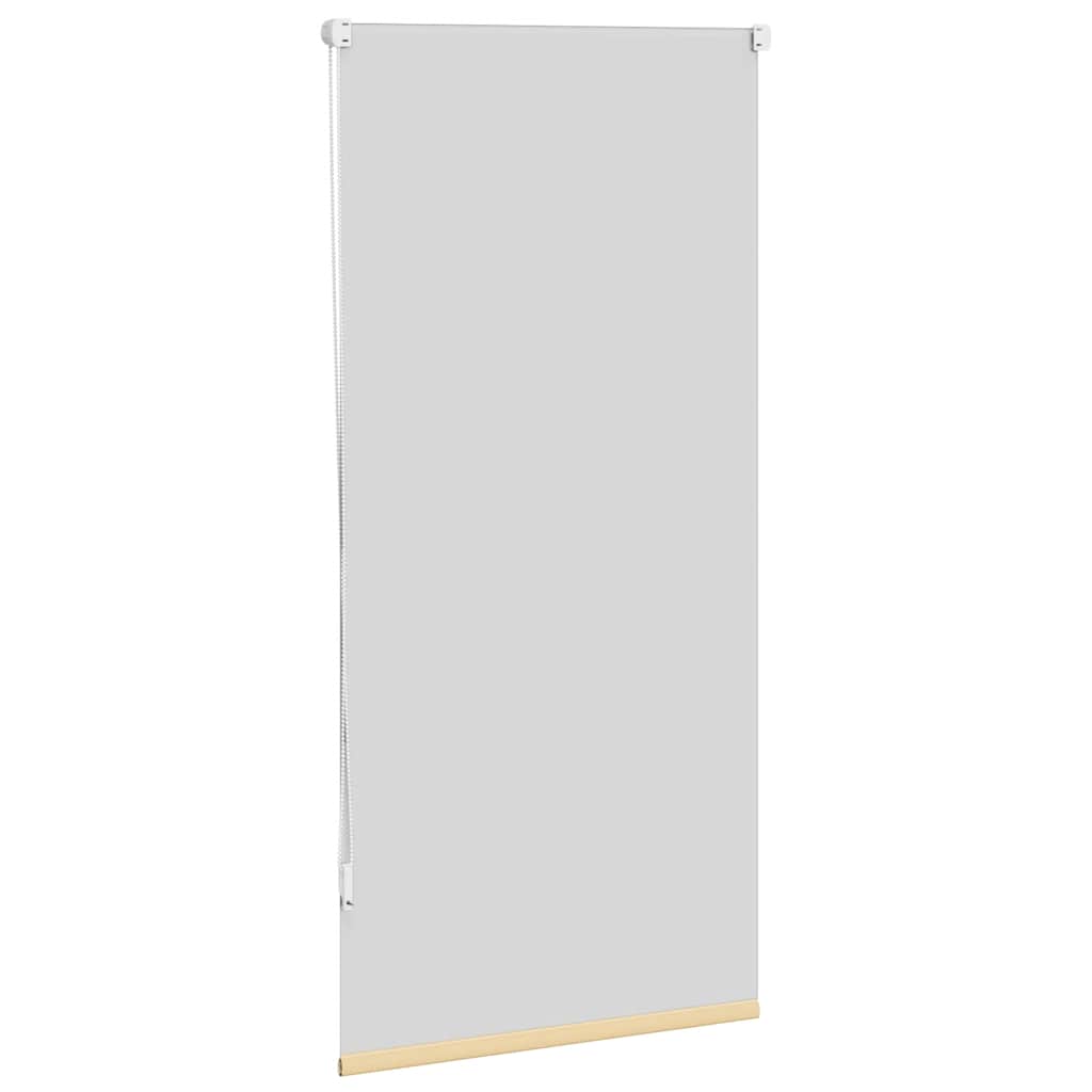 Rolo zavjesa za zamračivanje 64,4 x 120 cm Širina tkanine 60 cm bež