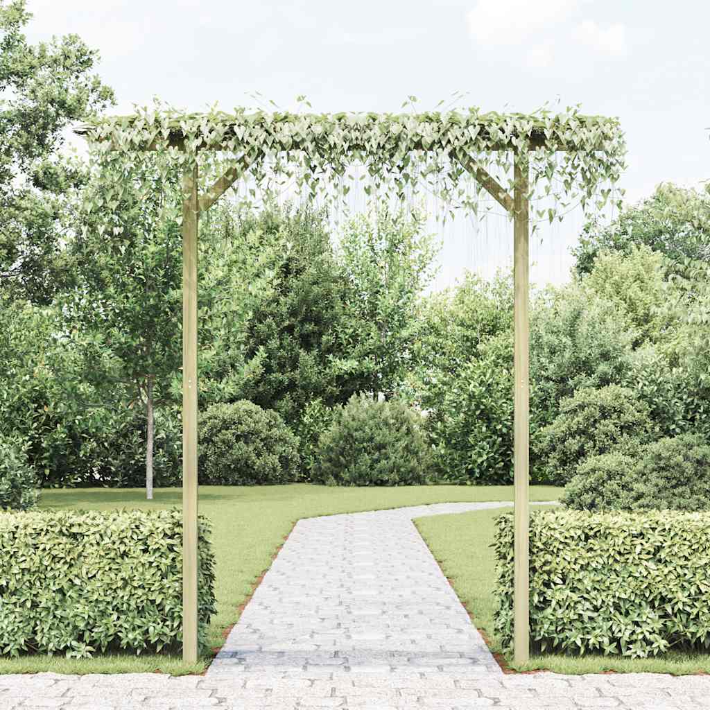 Vrtna pergola 205 x 40 x 203 cm drvena