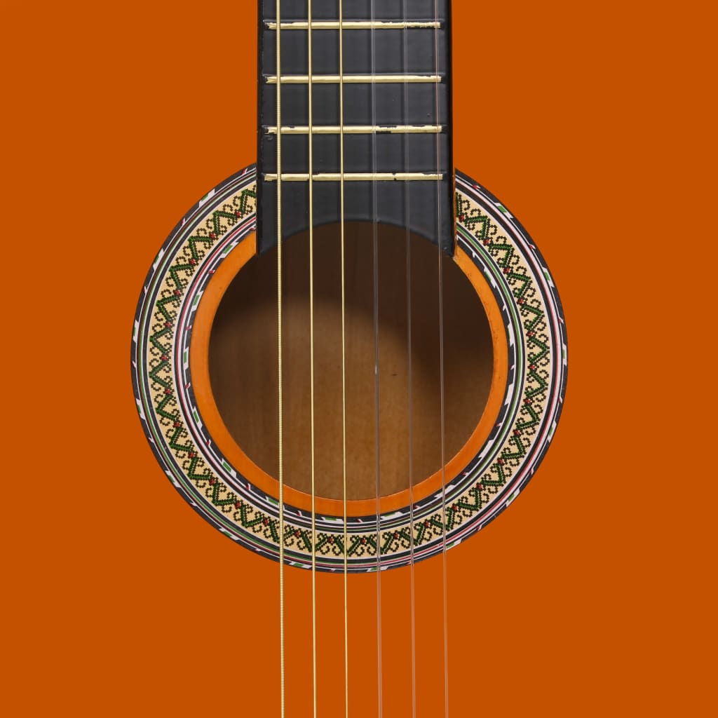 Klasična gitara za početnike s torbom 4/4 39 "