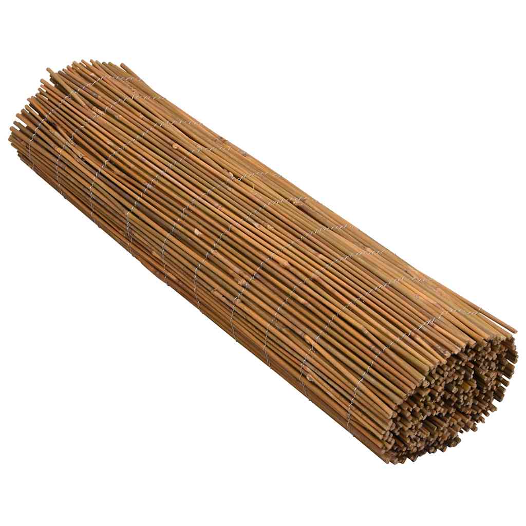 Ograda od bambusa 500 x 100 cm