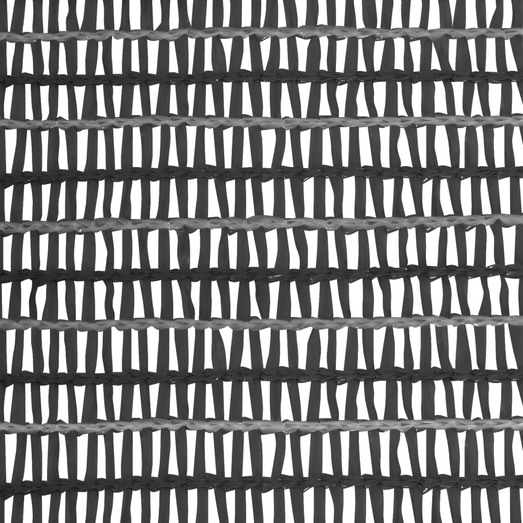 Mreža za privatnost antracit 1,2 x 25 m HDPE 150 g/m²