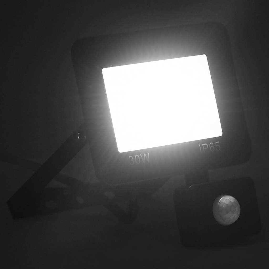 LED reflektor sa senzorom 30 W hladni bijeli