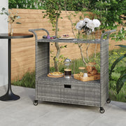 Barska kolica s ladicom siva 100 x 45 x 97 cm od poliratana