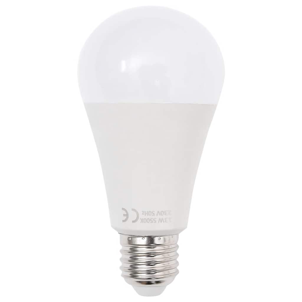 Fotografska oprema sa setom svjetala, pozadinom i reflektorom