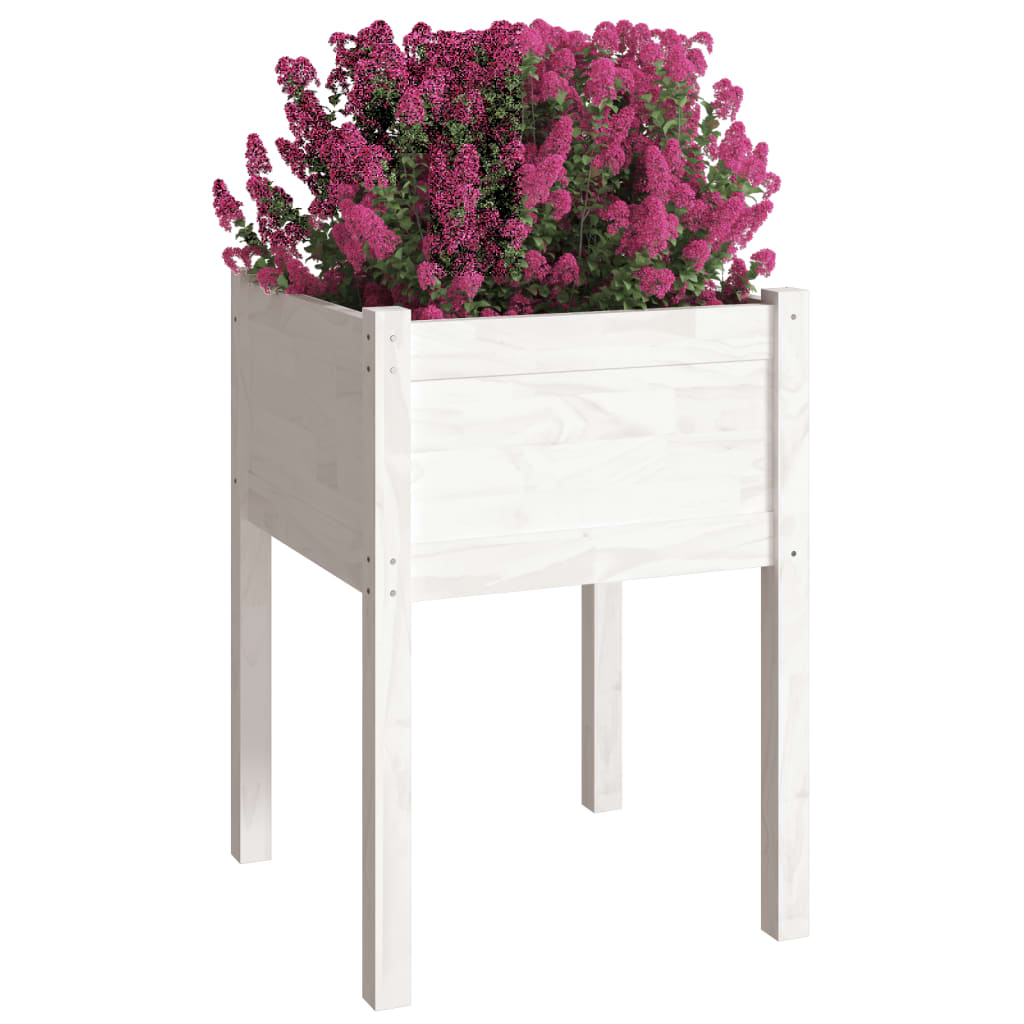 Vrtne sadilice 2 kom bijele 50 x 50 x 70 cm od masivne borovine