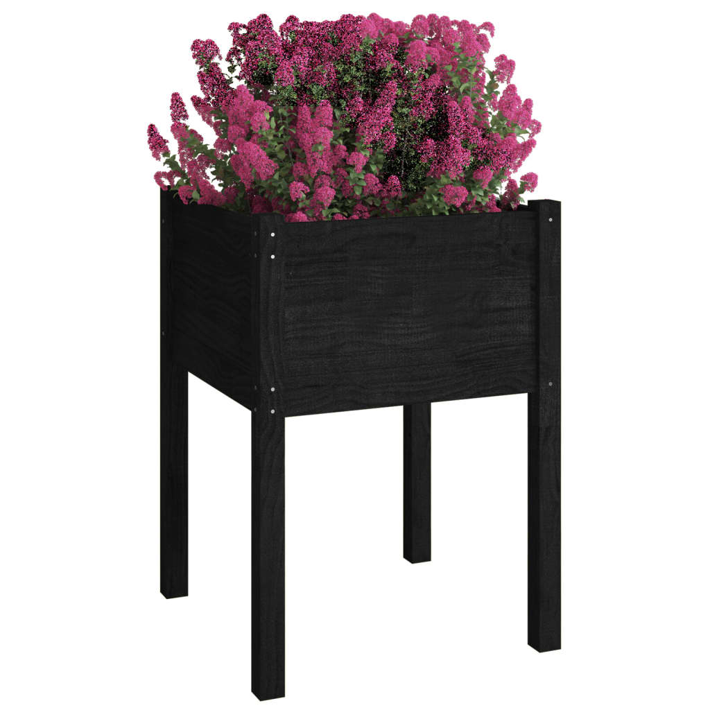 Vrtna sadilica crna 50 x 50 x 70 cm od masivne borovine