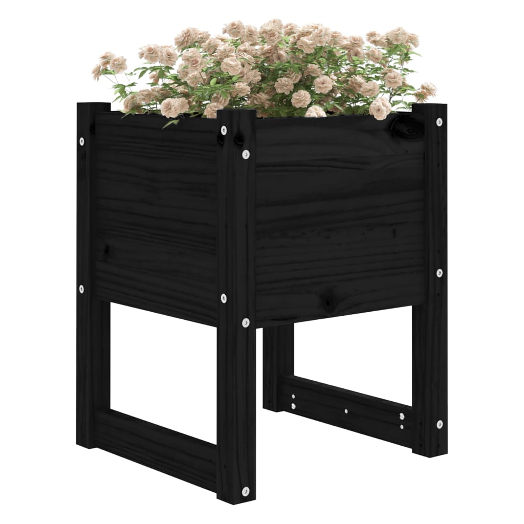 Sadilica crna 40 x 40 x 52,5 cm od masivne borovine