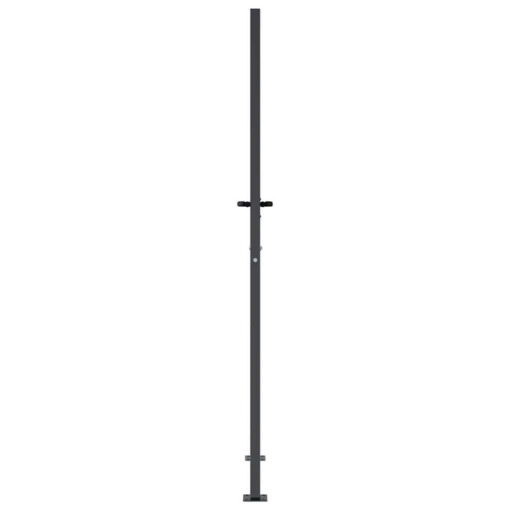 Vrtna vrata antracit 100x200 cm dizajn s čeličnim travom