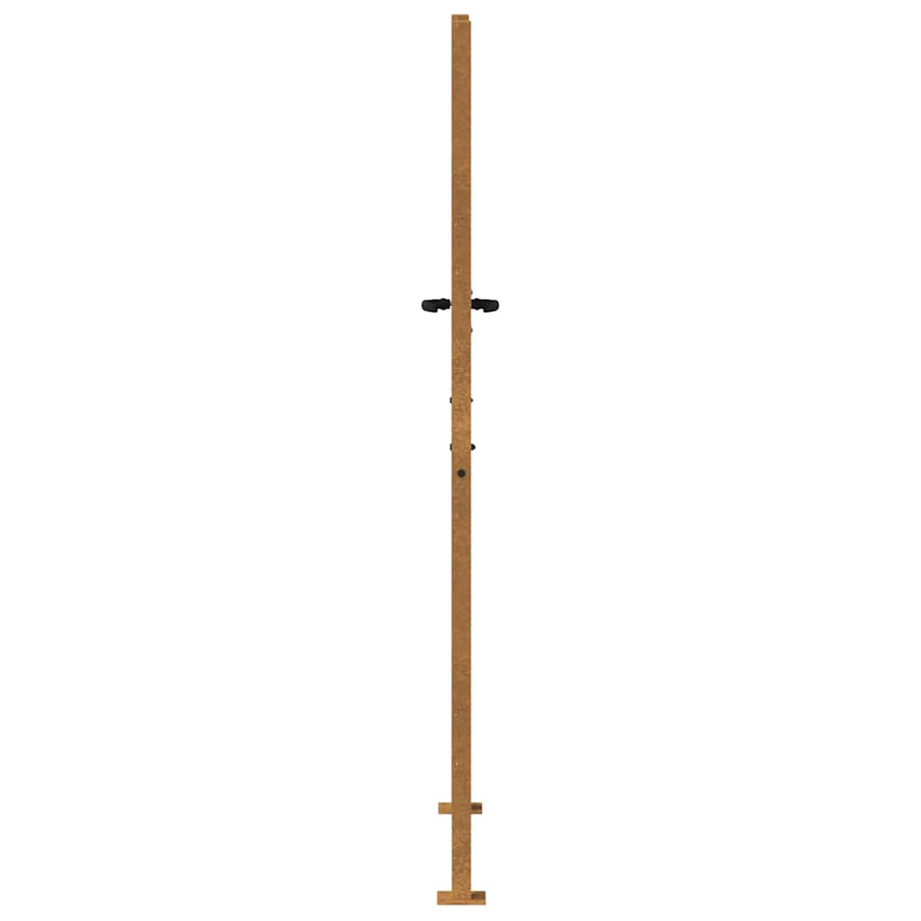 Vrtna vrata 100x200 cm Corten čelik