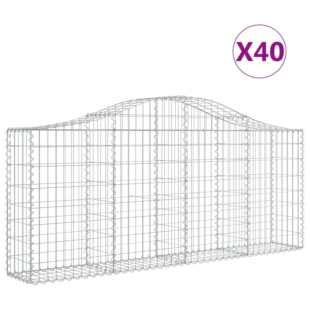Lučne gabionske košare 40 kom 200x30x80/100cm pocinčano željezo