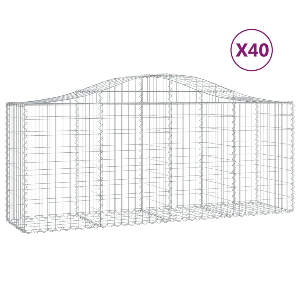 Lučne gabionske košare 40 kom 200x50x80/100cm pocinčano željezo