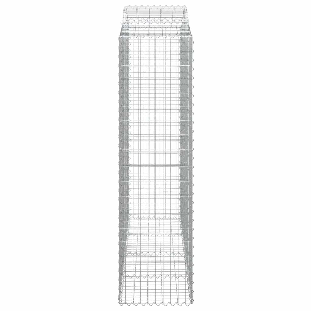 Lučne gabionske košare 2 kom 200x50x180/200cm pocinčano željezo