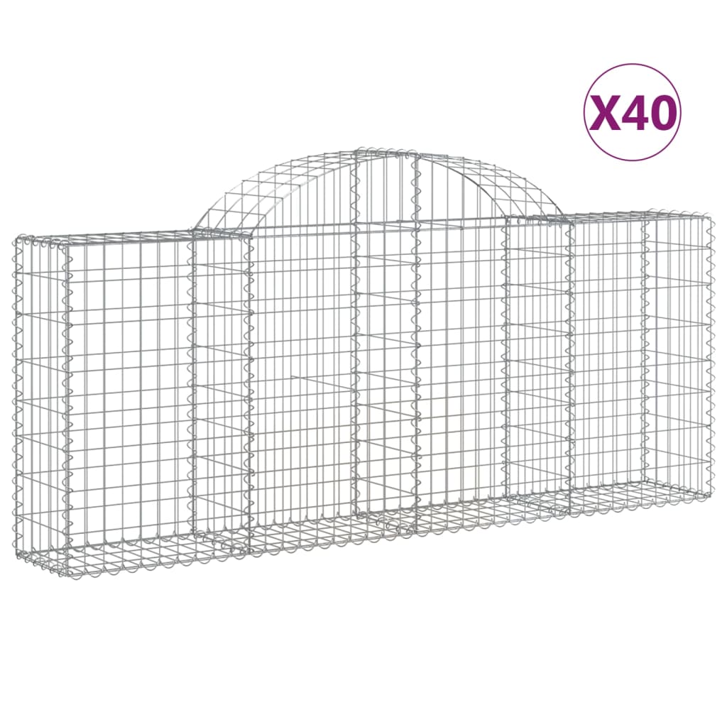 Lučne gabionske košare 40 kom 200x30x80/100cm pocinčano željezo
