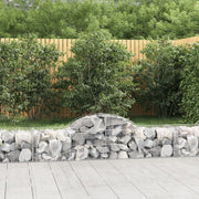 Lučne gabionske košare 40 kom 200x50x40/60 cm pocinčano željezo
