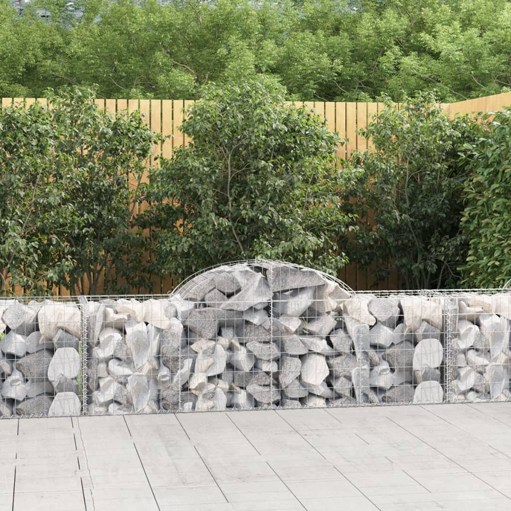 Lučne gabionske košare 20 kom 200x50x60/80 cm pocinčano željezo