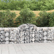 Lučne gabionske košare 40 kom 200x50x80/100cm pocinčano željezo