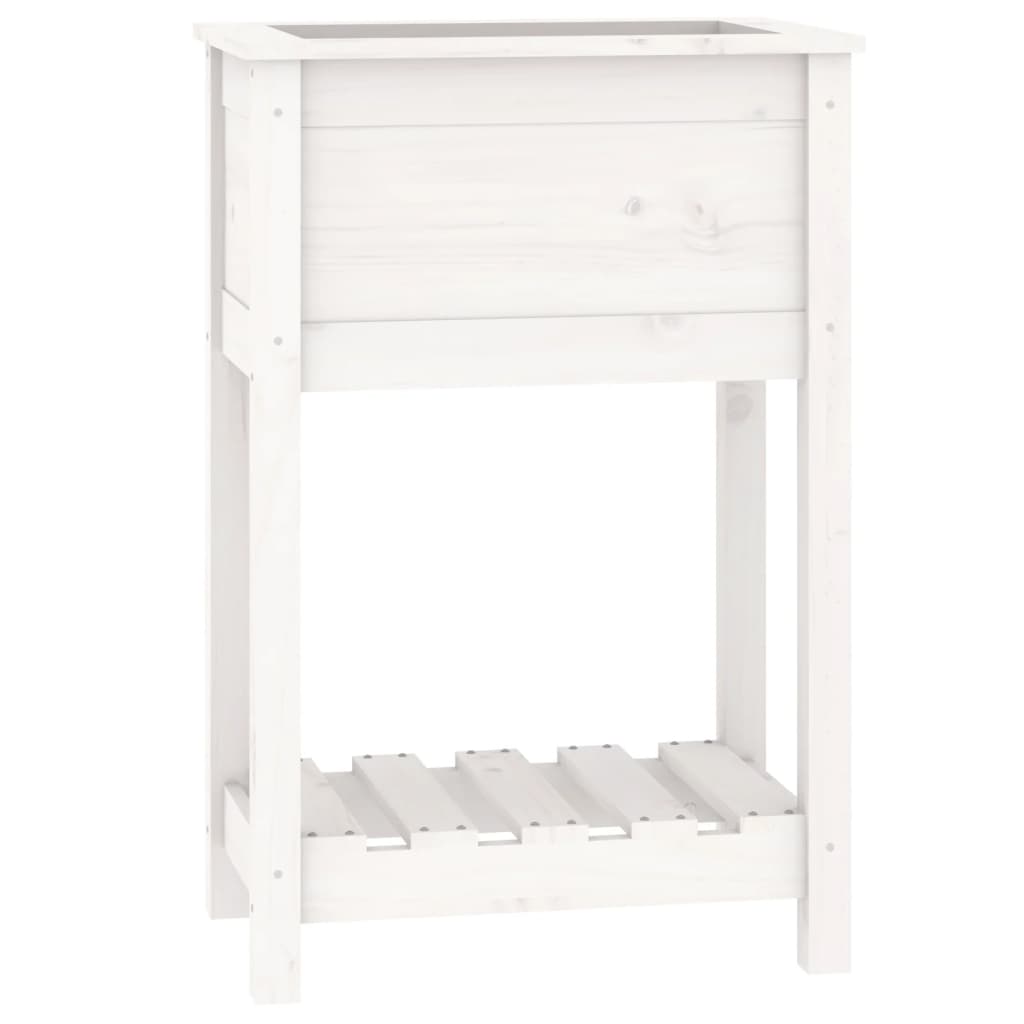 Sadilica s policom bijela 54 x 34,5 x 81 cm od masivne borovine