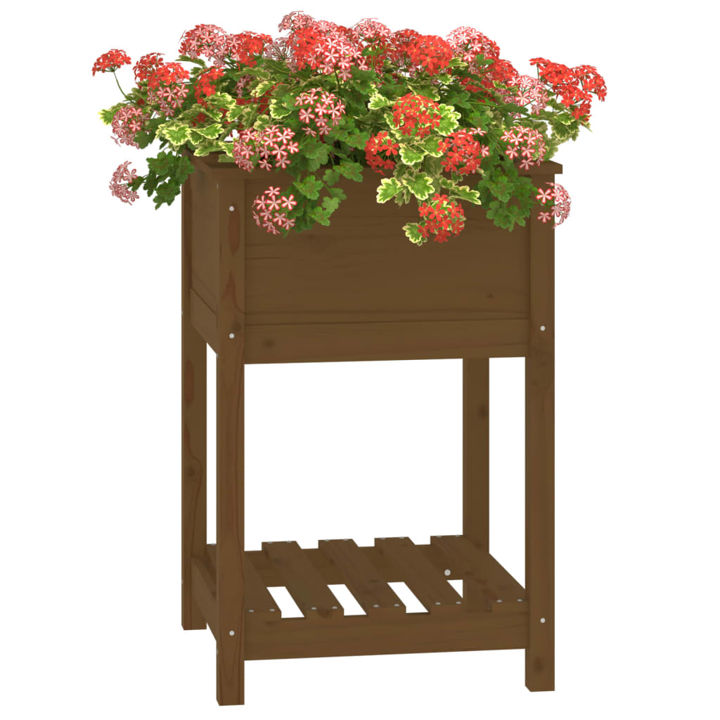 Sadilica s policom boja meda 54x54x81 cm od masivne borovine