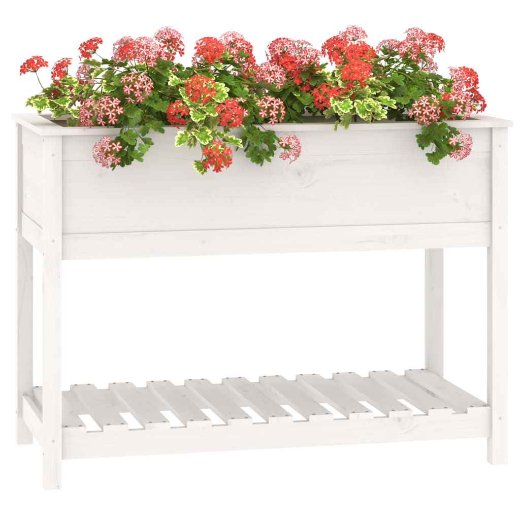 Sadilica s policom bijela 111,5x54x81 cm od masivne borovine
