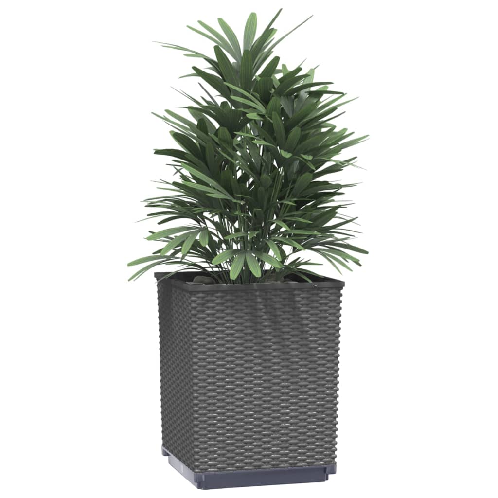 Sadilice 4 kom crne 30 x 30 x 37 cm od polipropilena