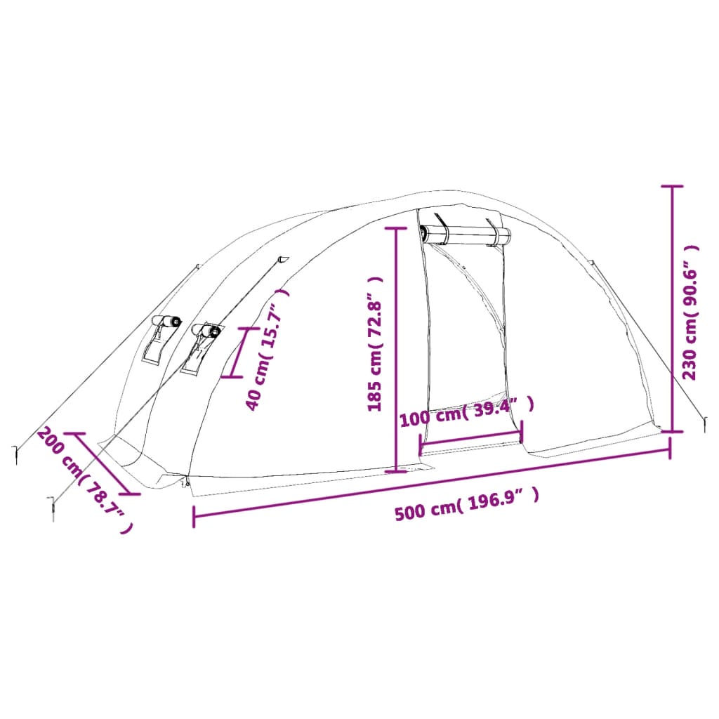 Staklenik s čeličnim okvirom bijeli 10 m² 5 x 2 x 2,3 m
