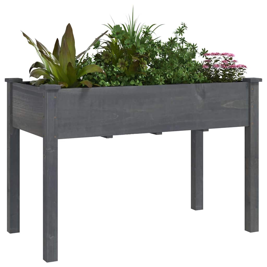 Sadilica s oblogom siva 118 x 59 x 76 cm od masivne jelovine