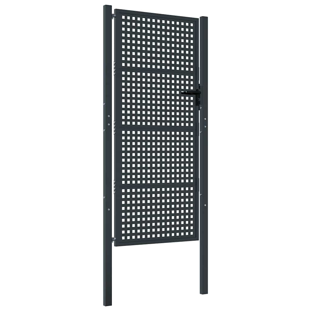 Vrtna vrata antracit 100x200 cm čelik