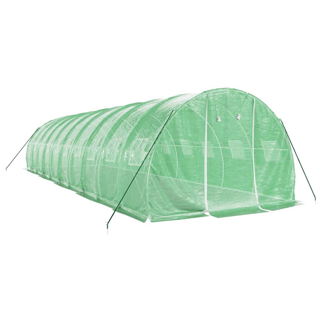 Staklenik s čeličnim okvirom zeleni 30 m² 10 x 3 x 2 m