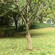 Role jute 2 kom 0,5x50 m 100 % juta 200 g/m²