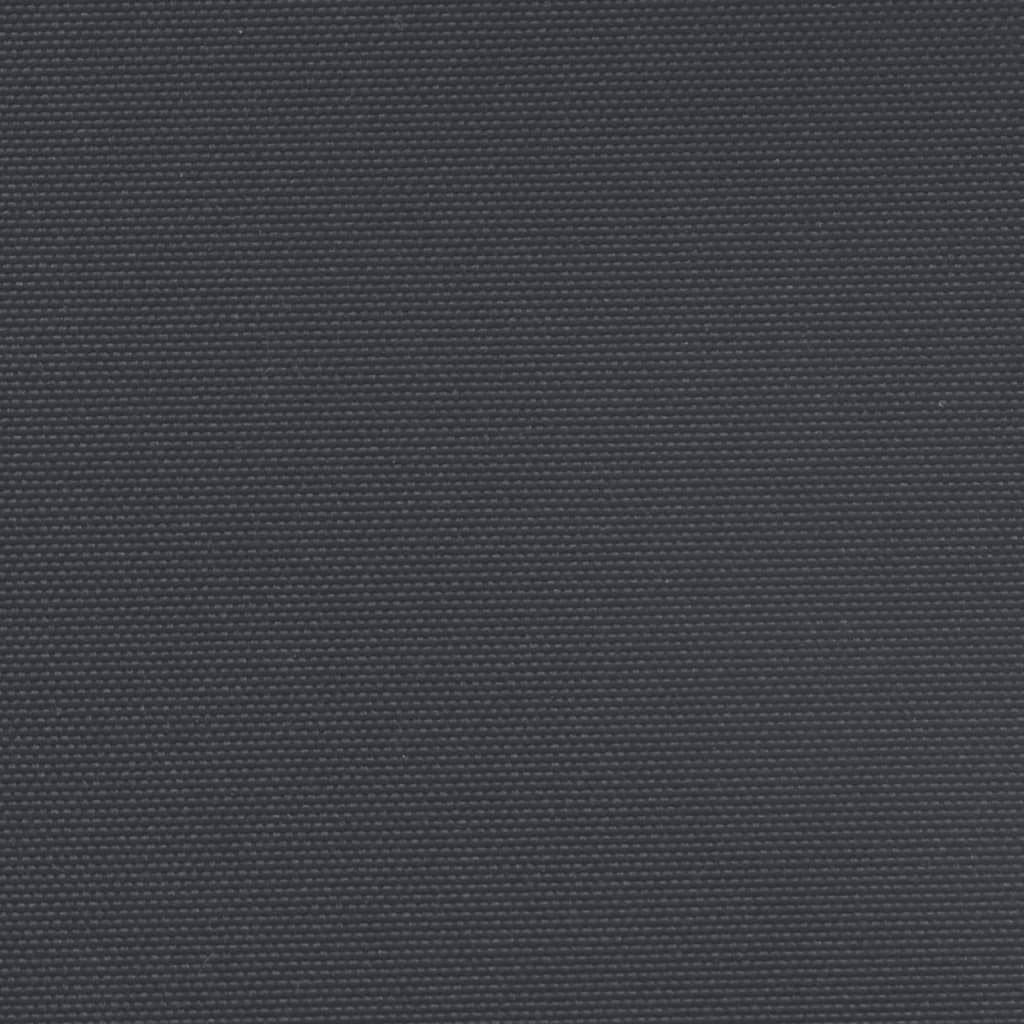 Bočna tenda na uvlačenje crna 220 x 1000 cm
