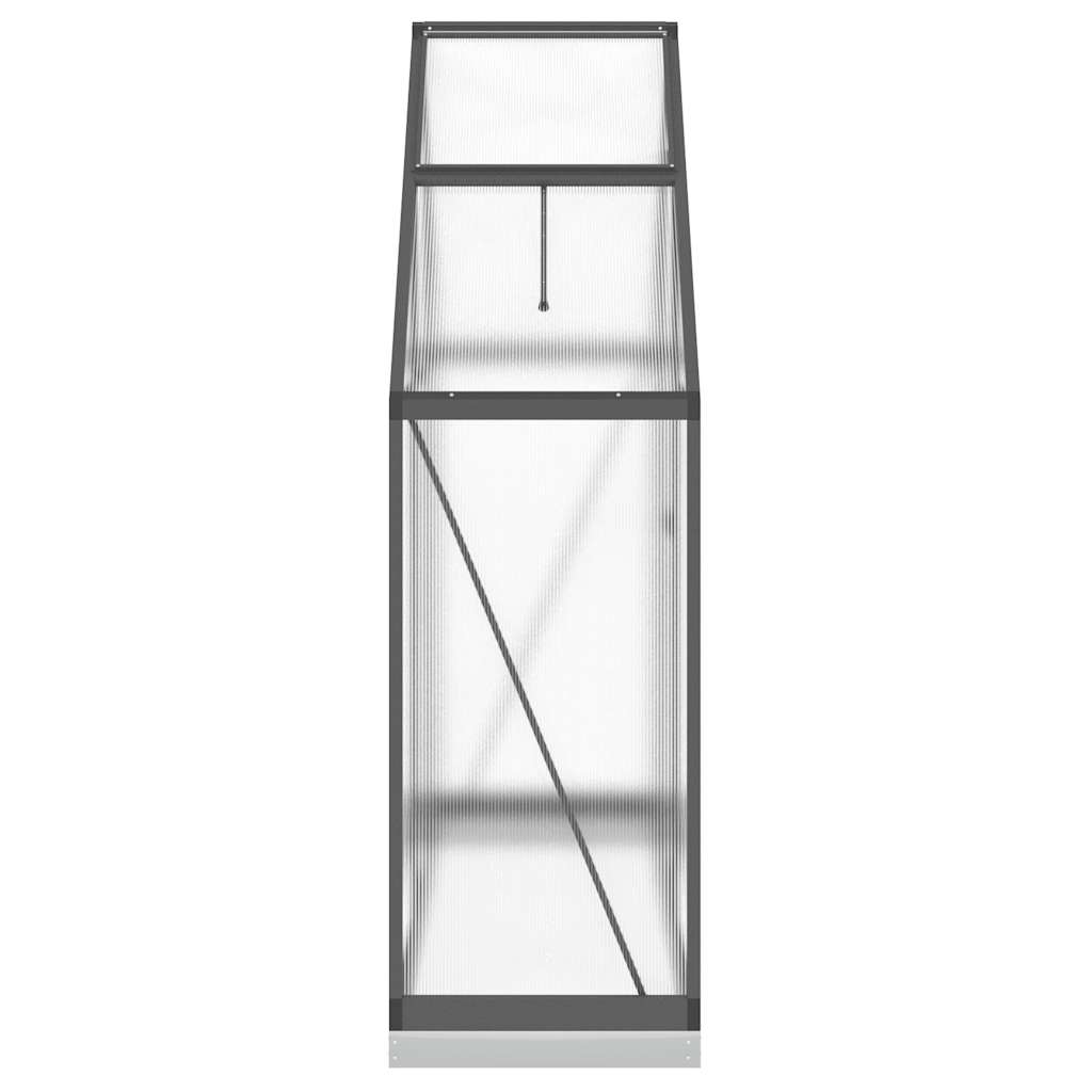 Staklenik s okvirom antracit 169 x 58 x 202 cm aluminijski