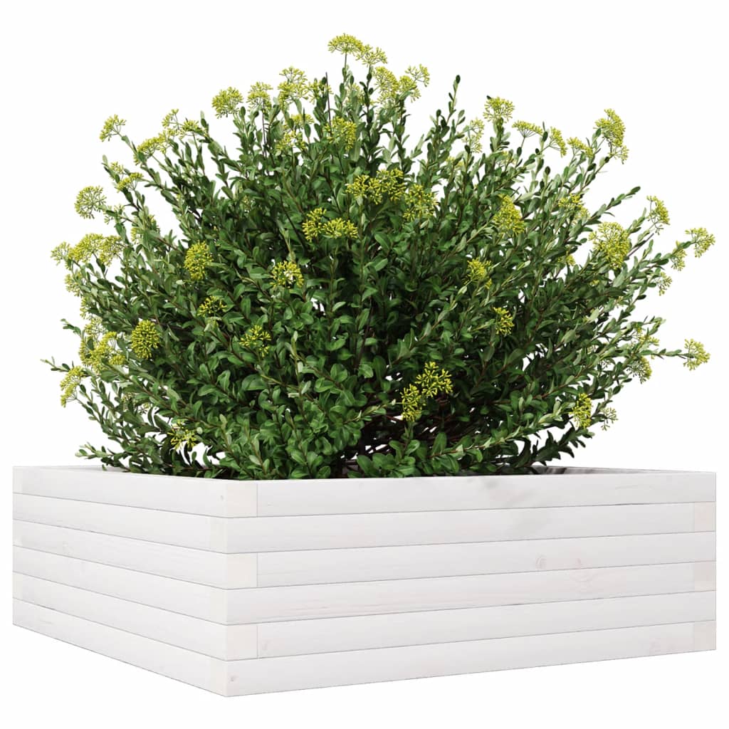 Vrtna sadilica bijela 70x70x23 cm od masivne borovine