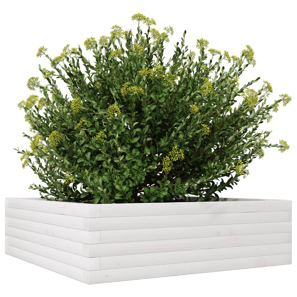 Vrtna sadilica bijela 80 x 80 x 23 cm od masivne borovine