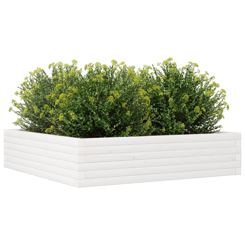 Vrtna sadilica bijela 100x100x23 cm od masivne borovine