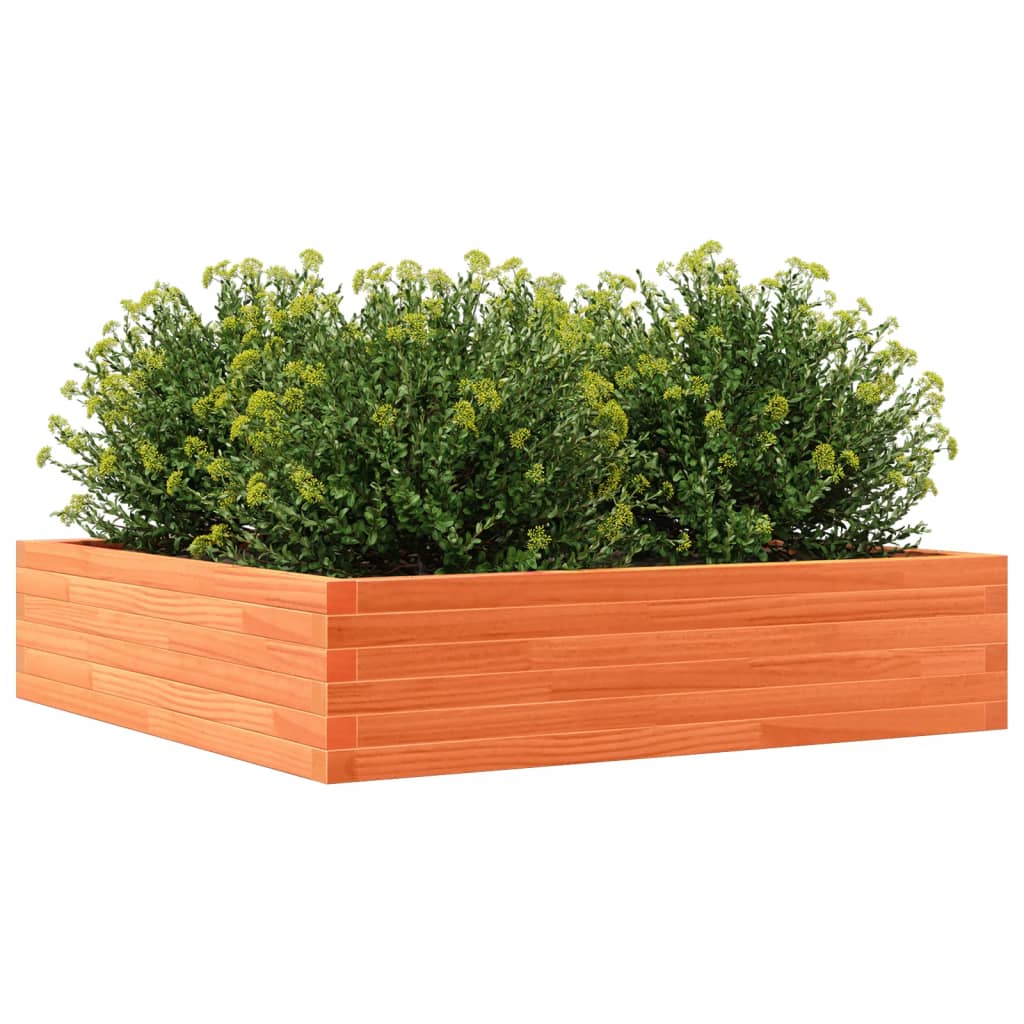Vrtna sadilica voštano smeđa 100x100x23 cm masivna borovina