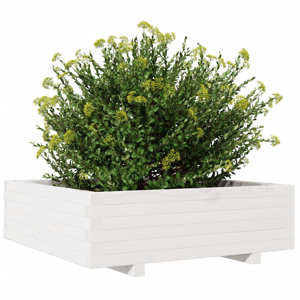Vrtna sadilica bijela 80 x 80 x 26,5 cm od masivne borovine