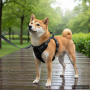 Oprsnica za pse s povodcem i ogrlicom podesiva crna L